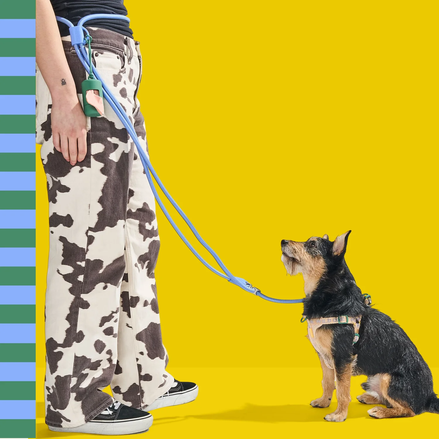 Style for Both Ends of the Leash